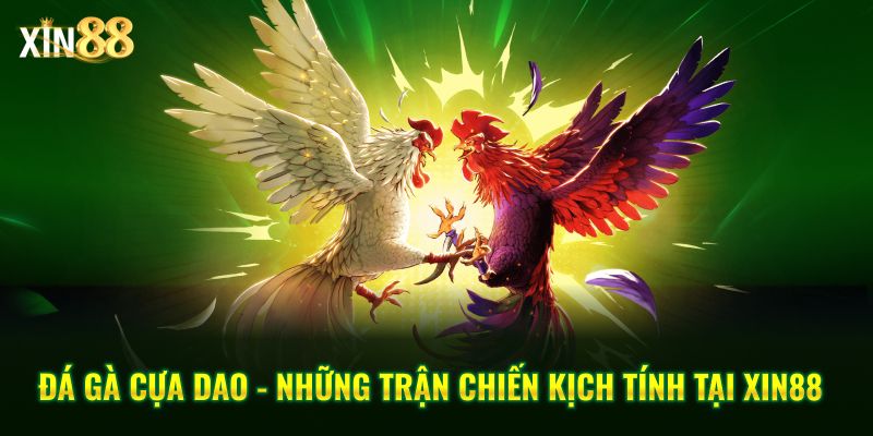 Đá Gà Cựa Dao - Những Trận Chiến Kịch Tính Tại Xin88 1 đá gà cựa dao 1