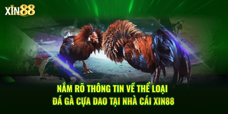 Đá Gà Cựa Dao - Những Trận Chiến Kịch Tính Tại Xin88 2 đá gà cựa dao 2