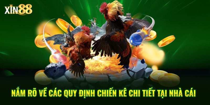 Đá Gà Cựa Dao - Những Trận Chiến Kịch Tính Tại Xin88 3 đá gà cựa dao 3