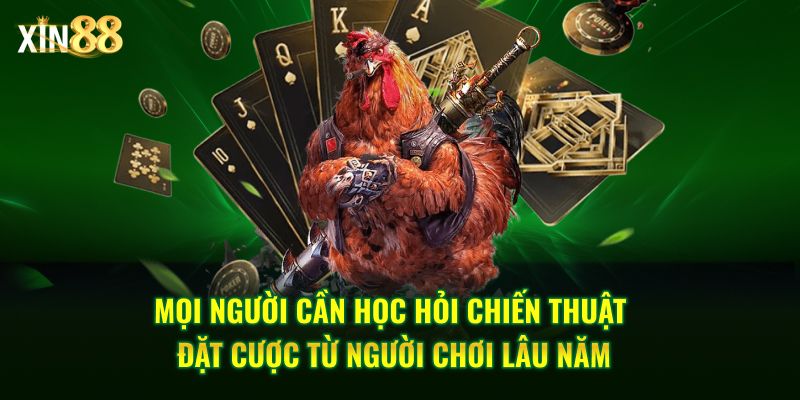 Đá Gà Cựa Dao - Những Trận Chiến Kịch Tính Tại Xin88 4 đá gà cựa dao 4