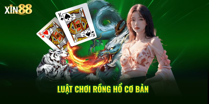luật chơi rồng hổ 3