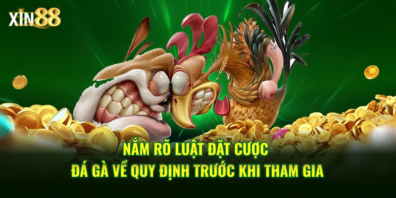 luật đặt cược đá gà 3