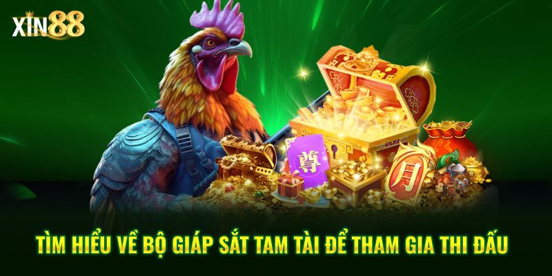 Vảy đá gà quý và kinh nghiệm chọn chiến kê chuẩn tại Xin88 3 các loại vảy đá quý 3